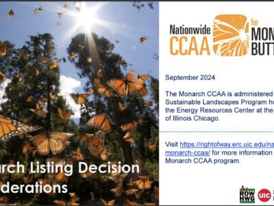 A vibrant scene of Monarch butterflies in flight among trees, highlighting the Monarch CCAA program's focus on conservation and sustainability. The image accompanies information about the program administered by the Sustainable Landscapes Program at the University of Illinois Chicago, emphasizing the importance of Monarch butterflies and their habitat.